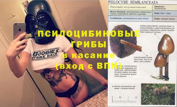 ешки Абинск