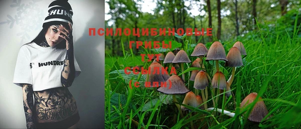 ешки Абинск