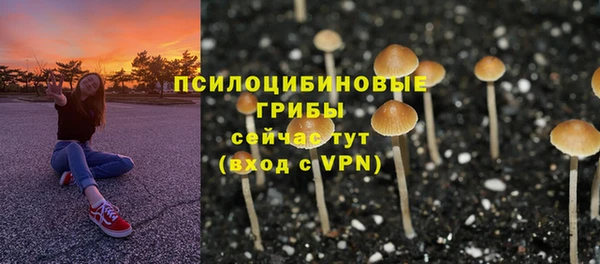 соль ск Абдулино