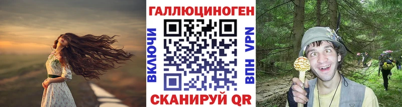 что такое наркотик  Сергач  Галлюциногенные грибы MAGIC MUSHROOMS 